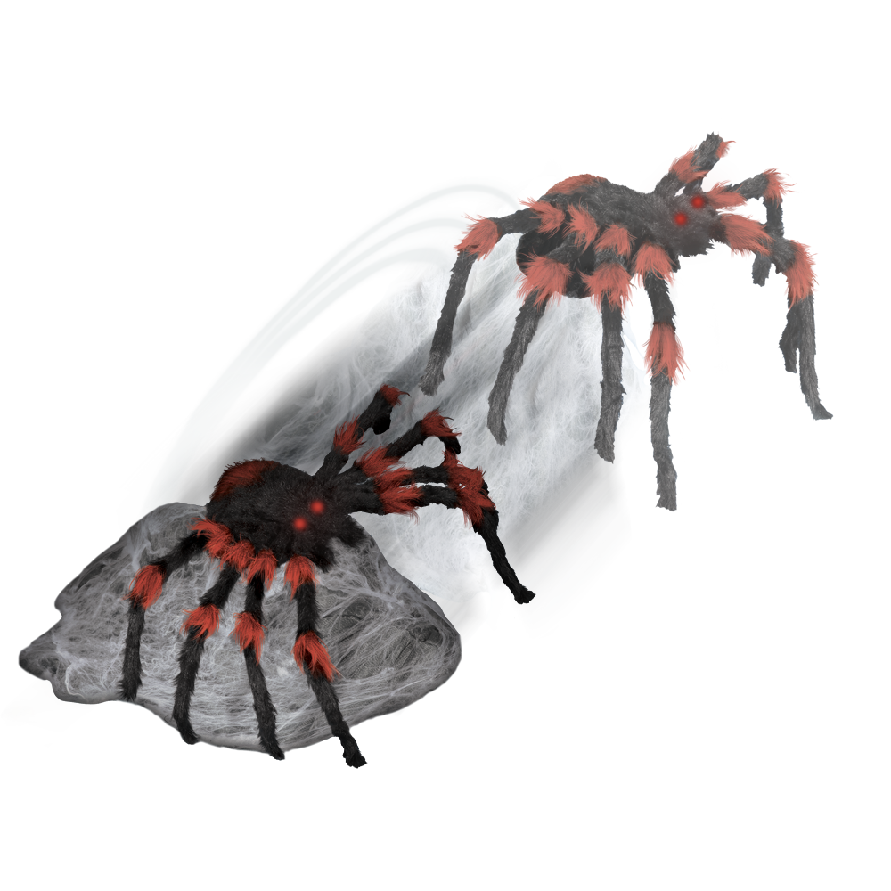 Black & Red Jumping Spider™